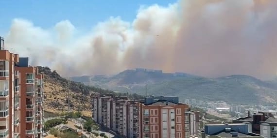 İzmir’de Orman Yangını Korkutuyor: Şehre Kül Yağıyor