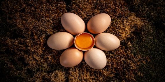 Yumurta Akı ile Cilt Bakımı: Doğal Güzelliğin Sırrı