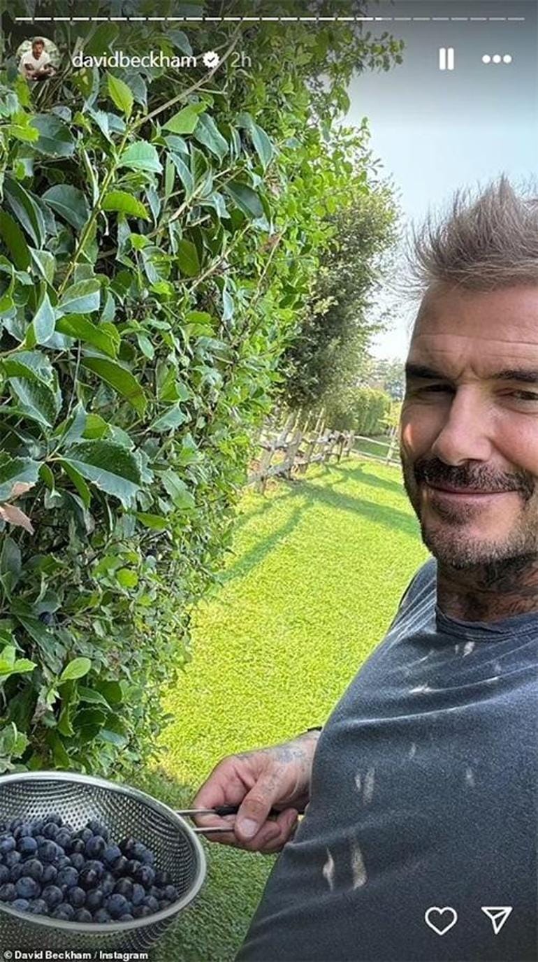 Beckham Çifti: 25 Yıllık Sevgi, Başarı ve Bahçe Hayatı