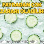 dondurulmus-salatalik-masum-degil-faydadan-cok-zarar-getirebilir-SLtXVcj8.jpg