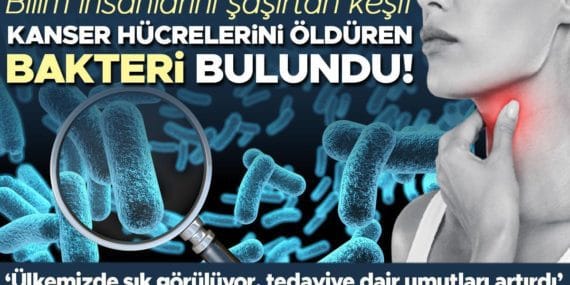 Fusobacterium Bakterisi: Kanser Tedavisinde Yeni Umut