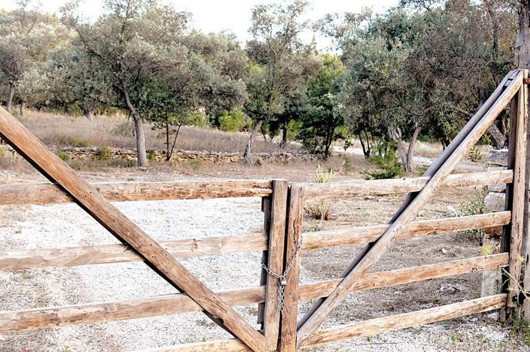 Ünlülerin Doğa Tutkusu ve Köy Hayatı