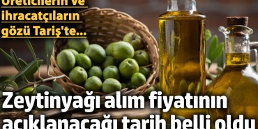 taris-zeytinyagi-fiyati-ocak-ayinda-belirlenecek-ihracat-ve-ic-piyasada-son-durum-PguJcSIz.jpg