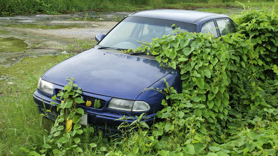 Donate Car to Charity in California