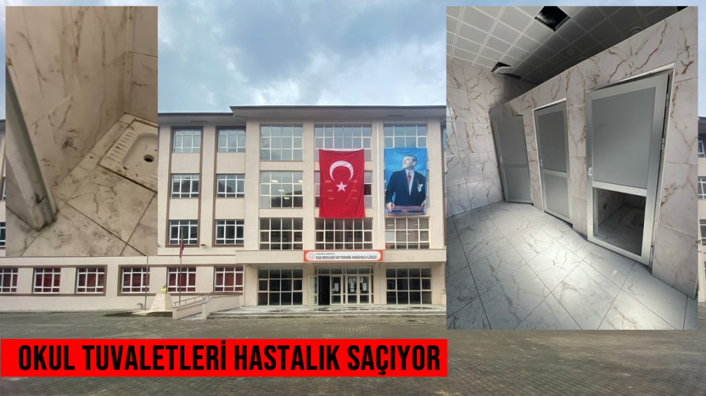 Ege Mesleki ve Teknik Anadolu Lisesi